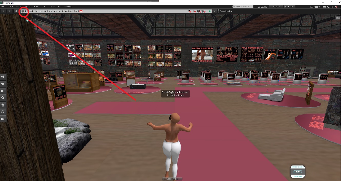 second life information